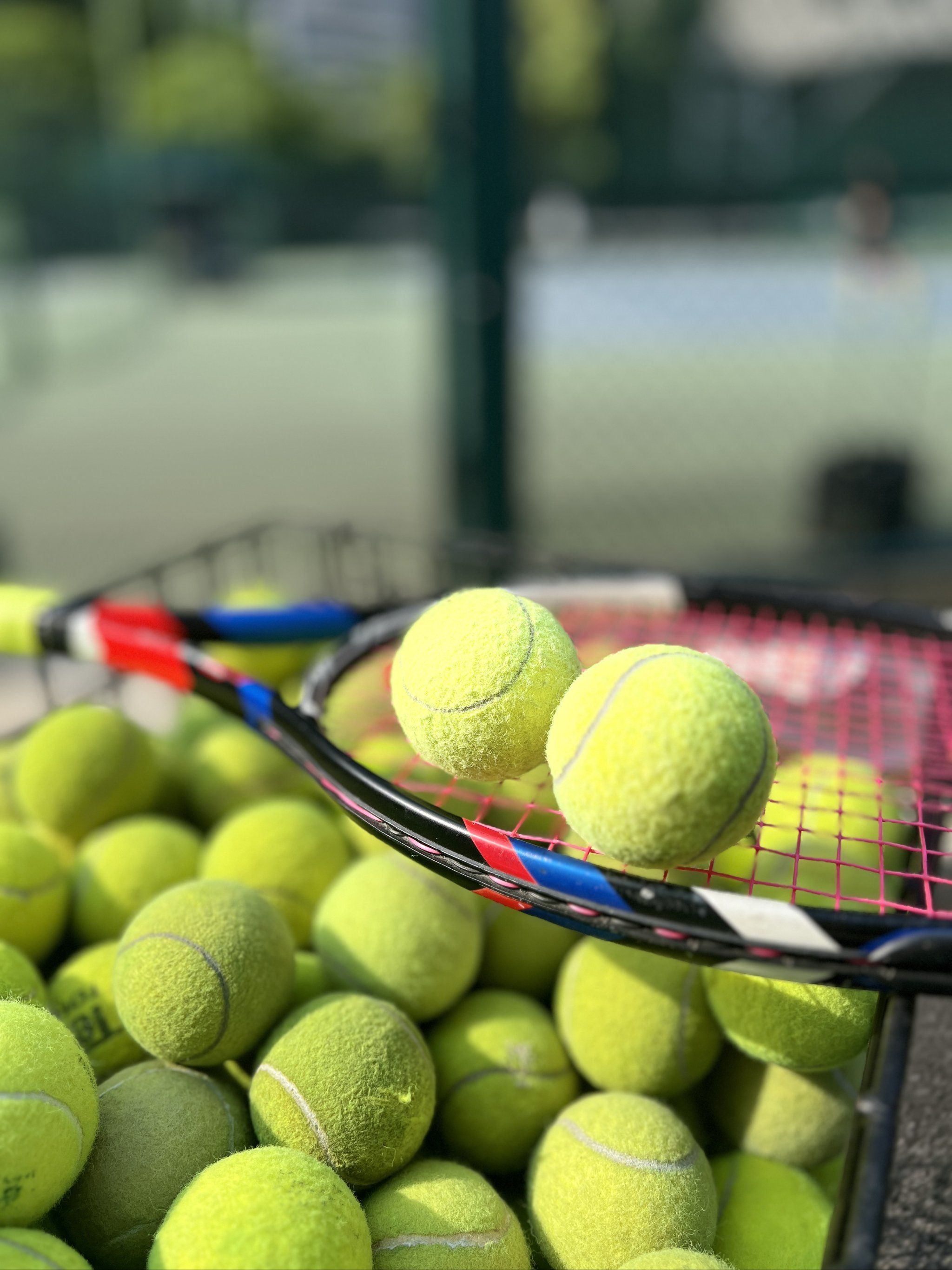 非命中注定 非命中注定