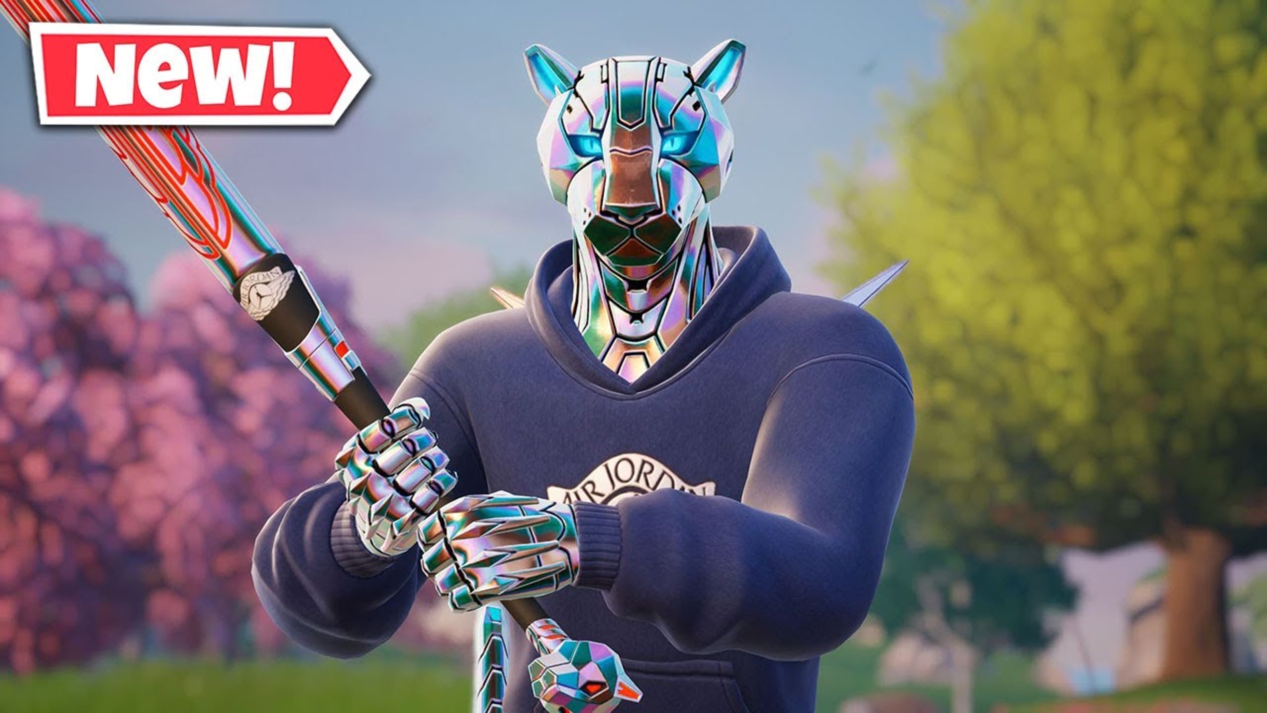 不仅展示了 不仅展示了